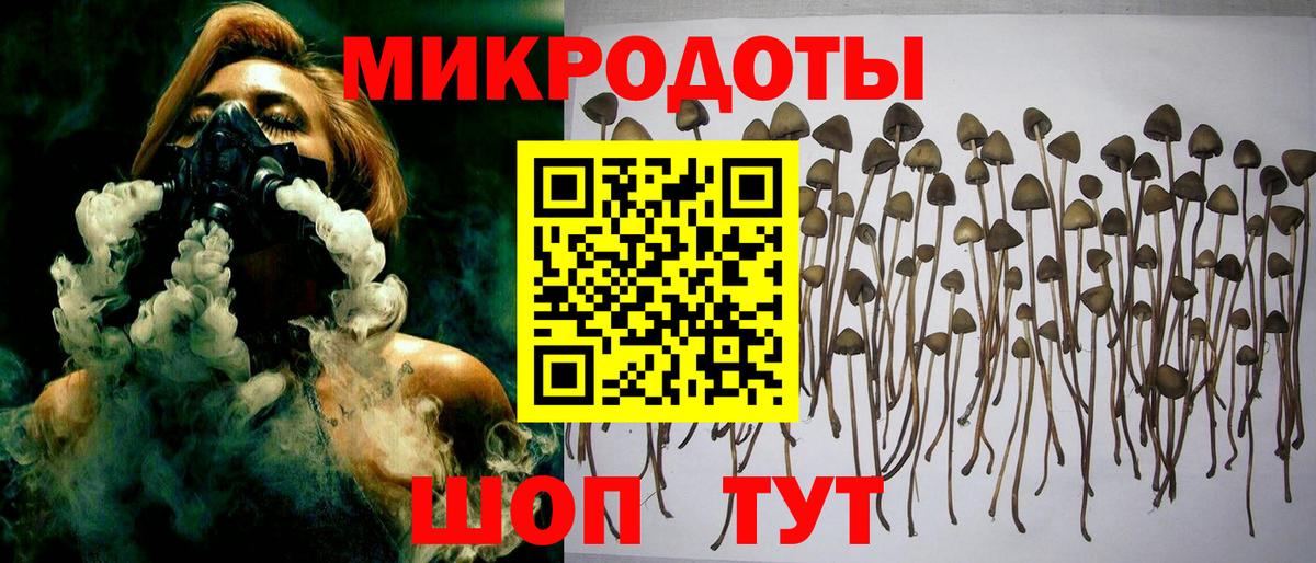 Псилоцибиновые грибы мухоморы Заволжье