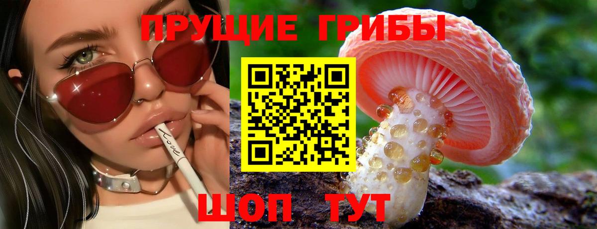 Галлюциногенные грибы GOLDEN TEACHER  Вход с VPN  Заволжье 